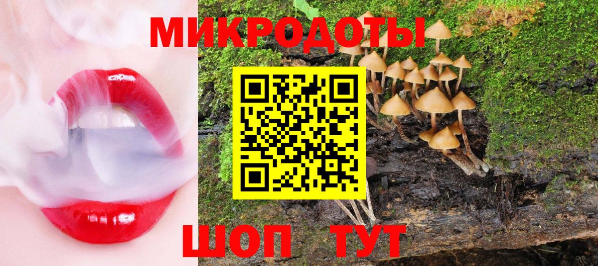 Галлюциногенные грибы Cubensis  закладки  Моршанск  Вход с VPN  Псилоцибиновые грибы мицелий 